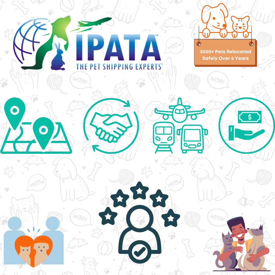 Why choose PetRelocation.IN for pet transportation requirements in India