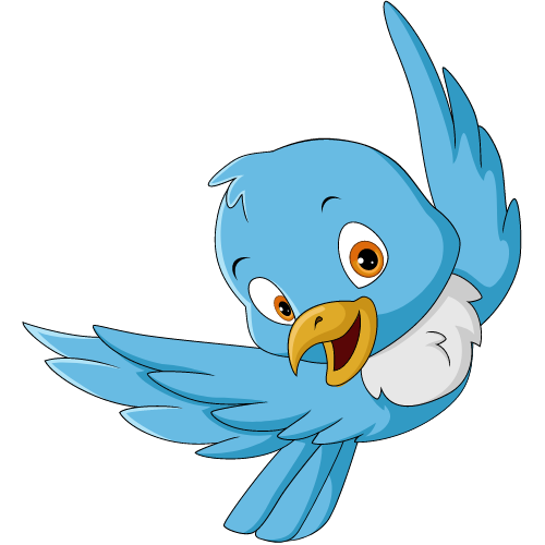 Bird Transport Services