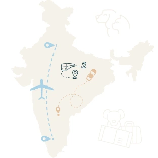 Nationwide pet relocation services depicted on the map of india with various photos of pets travelling