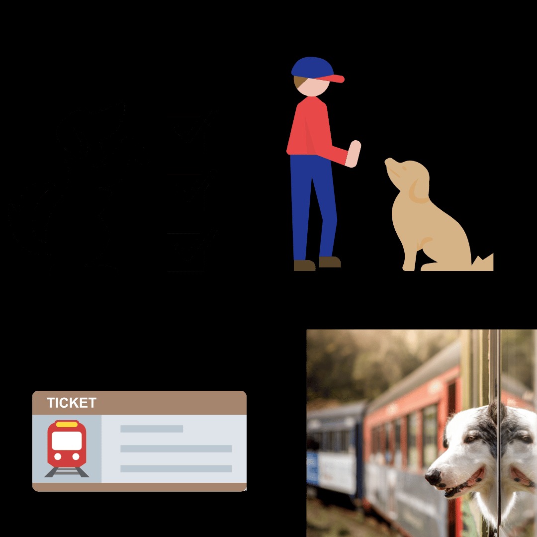 2 pupies travelling from Mumbai to Delhi by Train