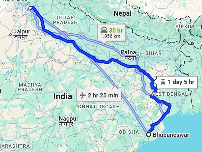 Bhubaneswar to Delhi pet travel