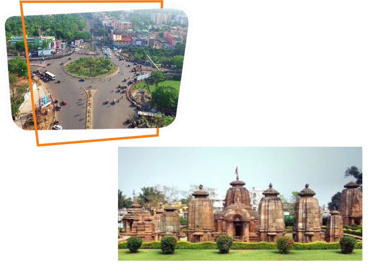 Pet Relocation Services Bhubaneswar