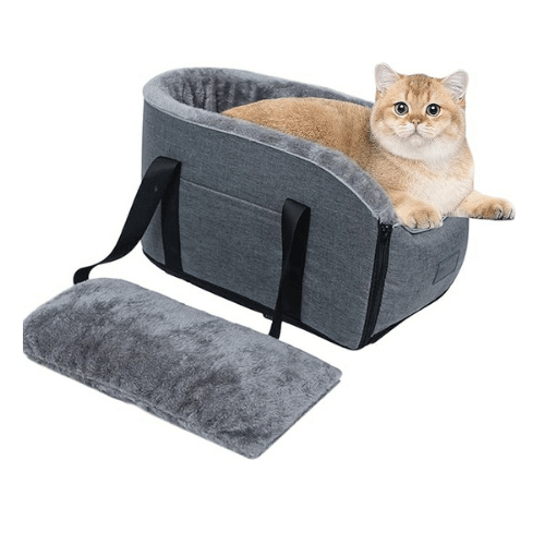 Booster seats for cats in pet taxi road travel | Pet Carrier Guide