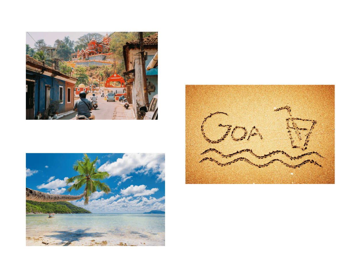 Goa city for pets | Pet Relocation Services Goa
