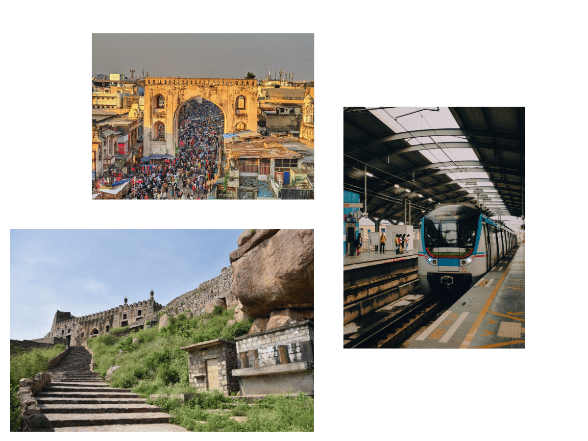 Hyderabad city for pets | Pet Relocation Services Hyderabad