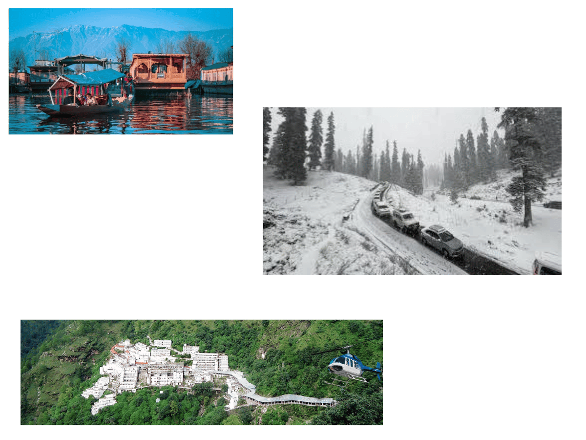 Pet Relocation Services Jammu - Srinagar
