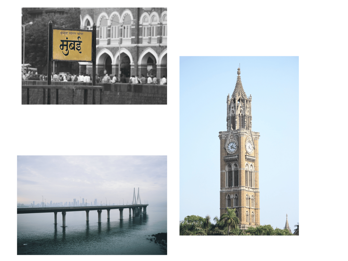 Mumbai city for pets | Pet Relocation Services Mumbai