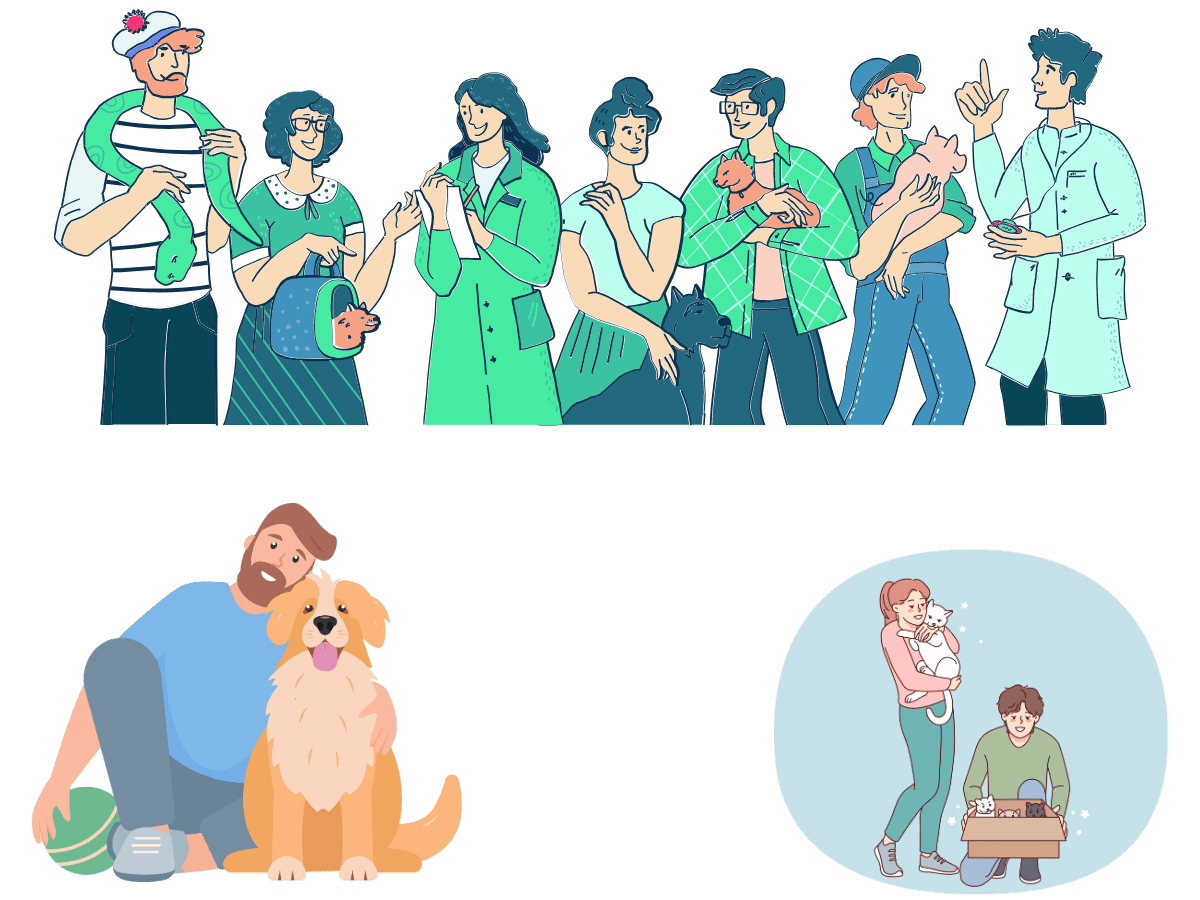 PET RELOCATION REVIEWS