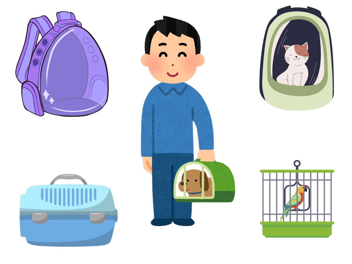 Pet Carrier Guide