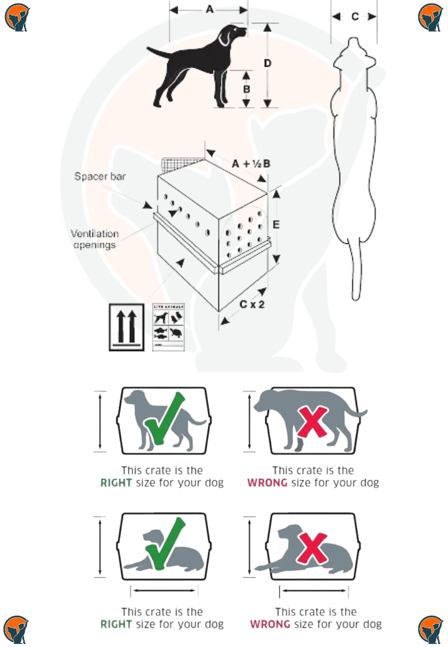 Pet Measurement guide for IATA Crate