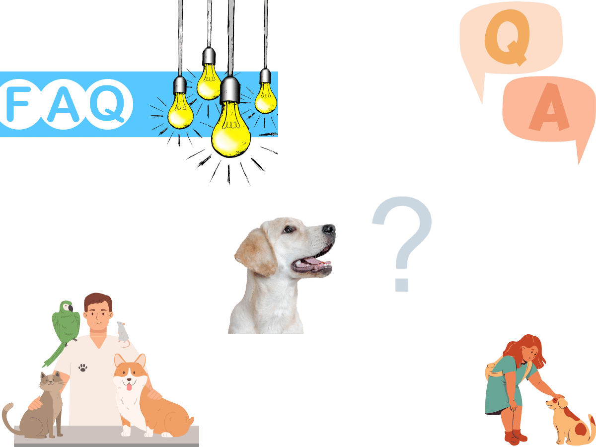 Pet Relocation FAQ