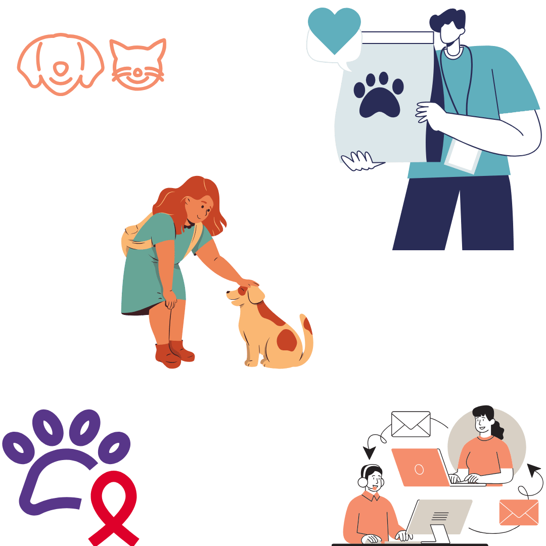 get a quote for pet travel services | contact us
